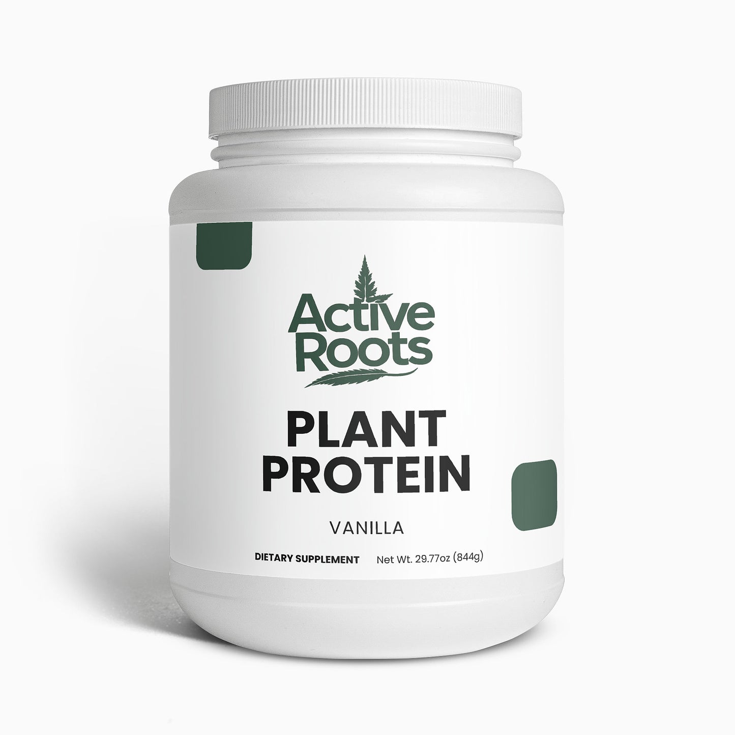 Plant Protein (Vanilla)